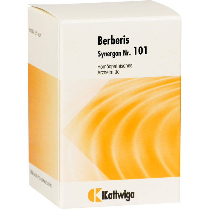 Synergon Komplex 101 Berberis Tabletten, 200 pcs. Tablets