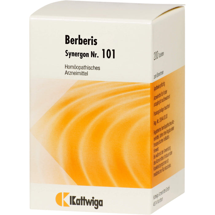 Synergon Komplex 101 Berberis Tabletten, 200 pcs. Tablets