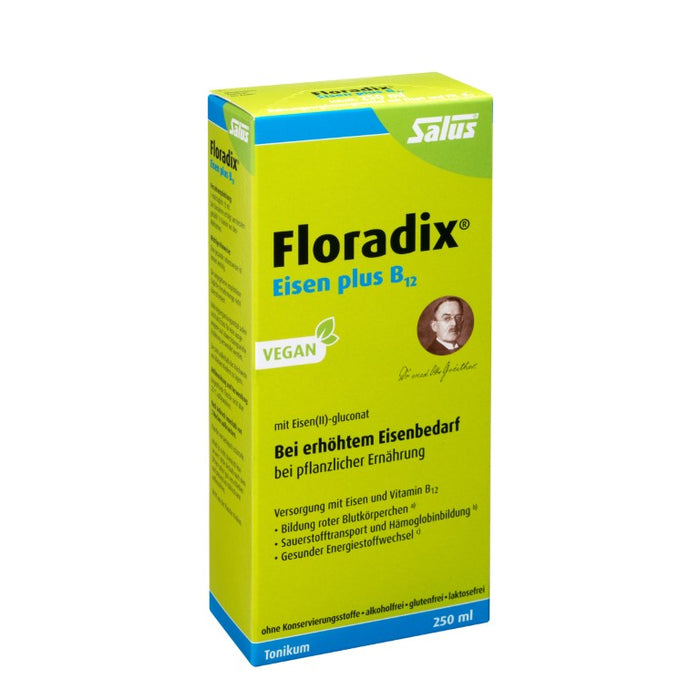 Floradix Eisen plus B12 vegan Tonikum bei erhöhtem Eisenbedarf, 250 ml Solution