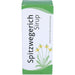 Spitzwegerich Sirup, 200 ml SIR