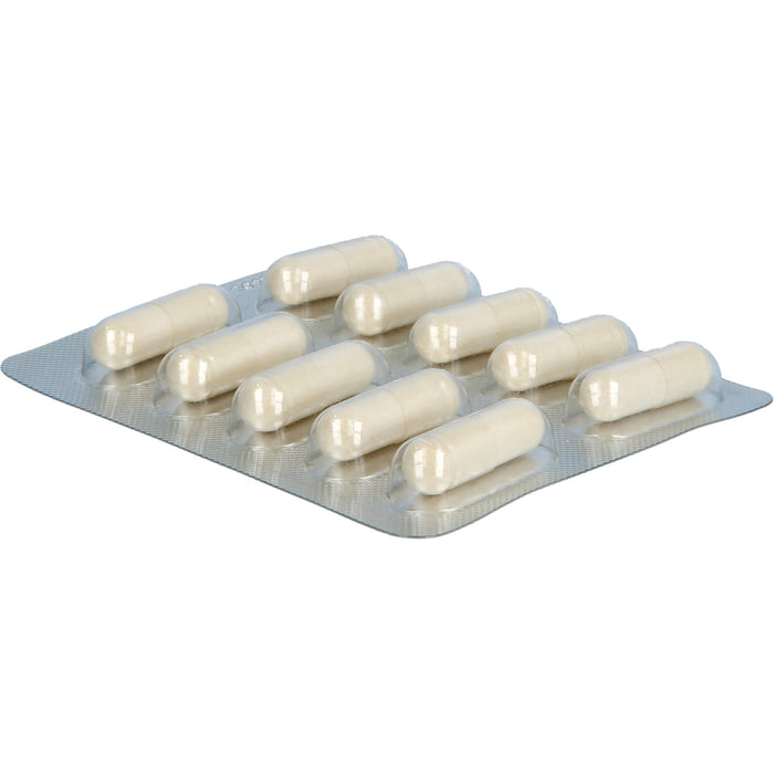 Unizink Immun Plus Kapseln für ein gesundes Immunsystem, 60 pcs. Capsules
