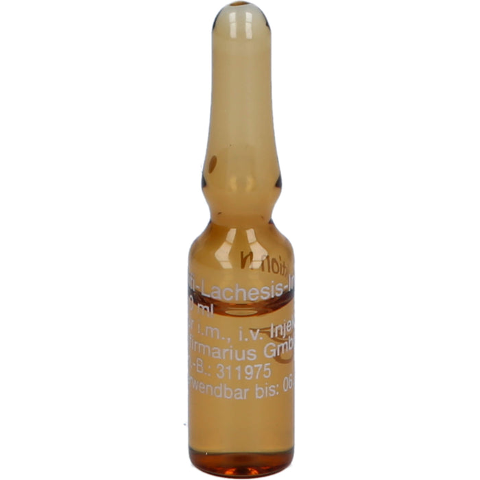Infi Lachesis Injektion N flüssige Verdünnung, 10 pc Ampoules