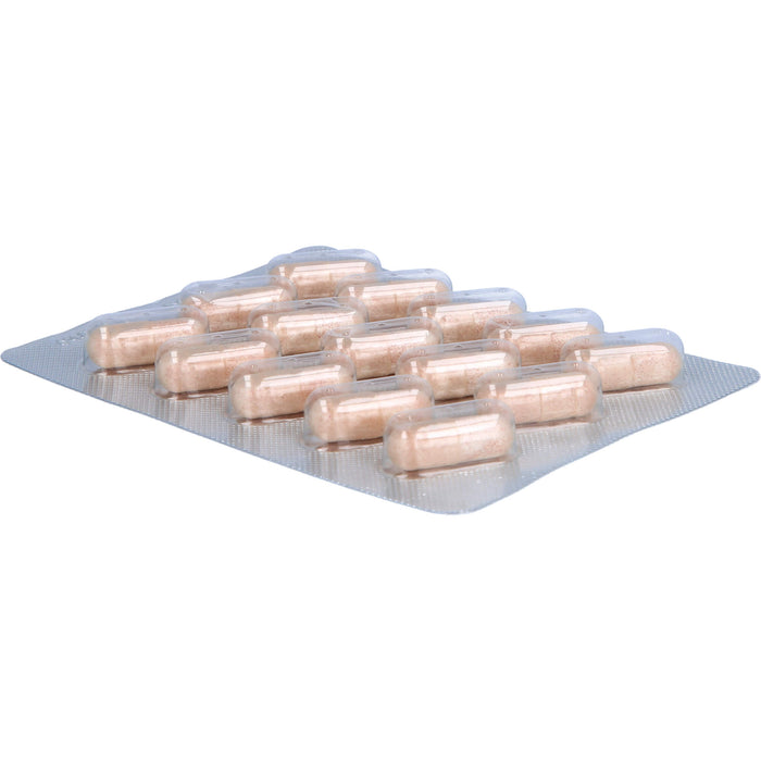 MASQUELIERs Anthogenol OPC Kapseln zur Unterstützung der Venen, Augen und Haut, 30 pcs. Capsules