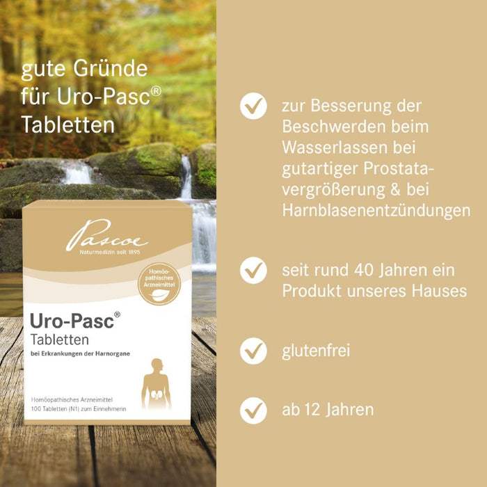 Uro-Pasc Tabletten bei Erkrankungen der Harnorgane, 100 pcs. Tablets