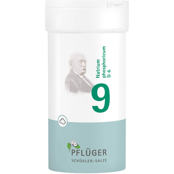Biochemie Nr.9 Natrium phosphoricum D6 Pflüger Pulv., 100 g PUL