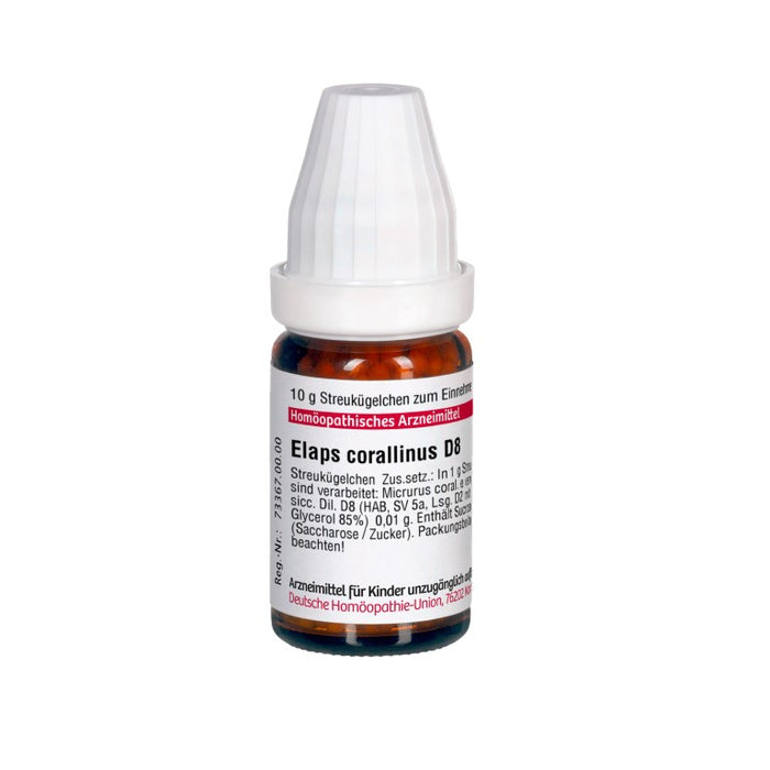 Elaps corallinus D8 DHU Globuli, 10 g Globules