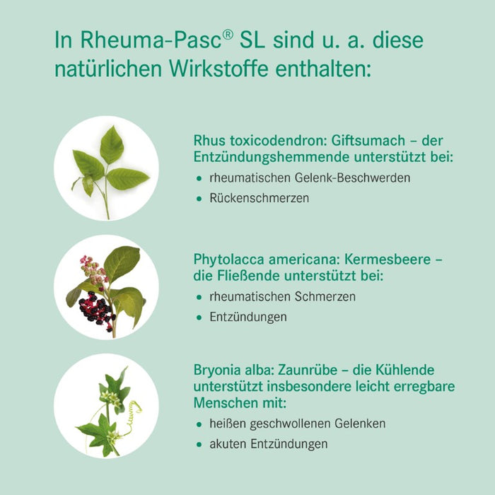 Rheuma-Pasc SL Mischung bei Erkrankungen des Bewegungsapparates, 50 ml Lösung