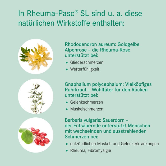 Rheuma-Pasc SL Mischung bei Erkrankungen des Bewegungsapparates, 50 ml Lösung