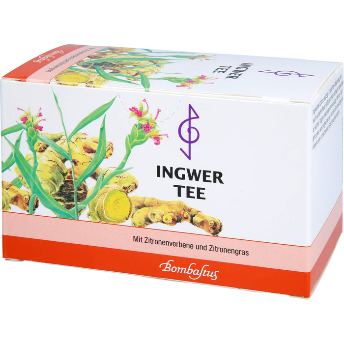 Ingwertee, 20X2 g FBE