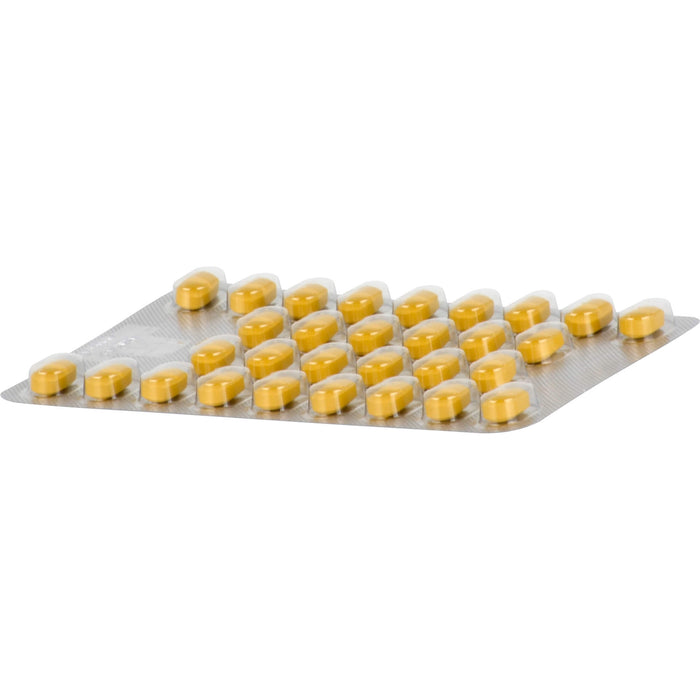 Tebonin spezial 80 mg Filmtabletten zur Leistungsstärkung des Gehirns und zur Durchblutung, 30 pc Tablettes