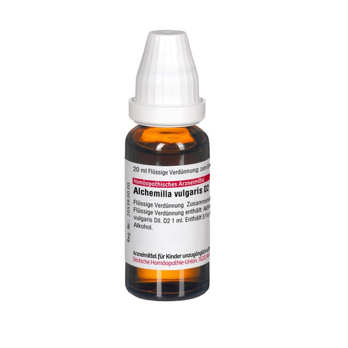 DHU Alchemilla vulgaris D 2 flüssige Verdünnung, 20 ml Solution