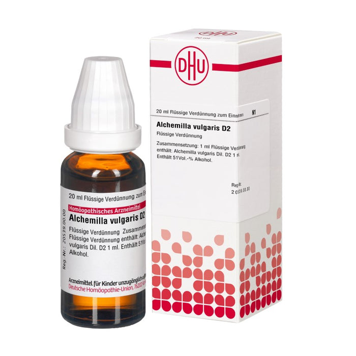 DHU Alchemilla vulgaris D 2 flüssige Verdünnung, 20 ml Solution