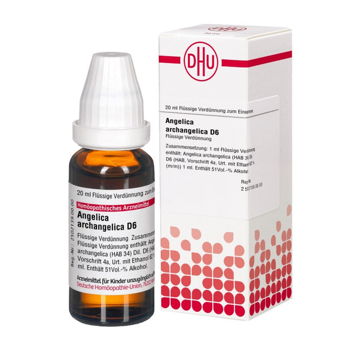 Angelica archangelica D6 DHU Dilution, 20 ml Solution