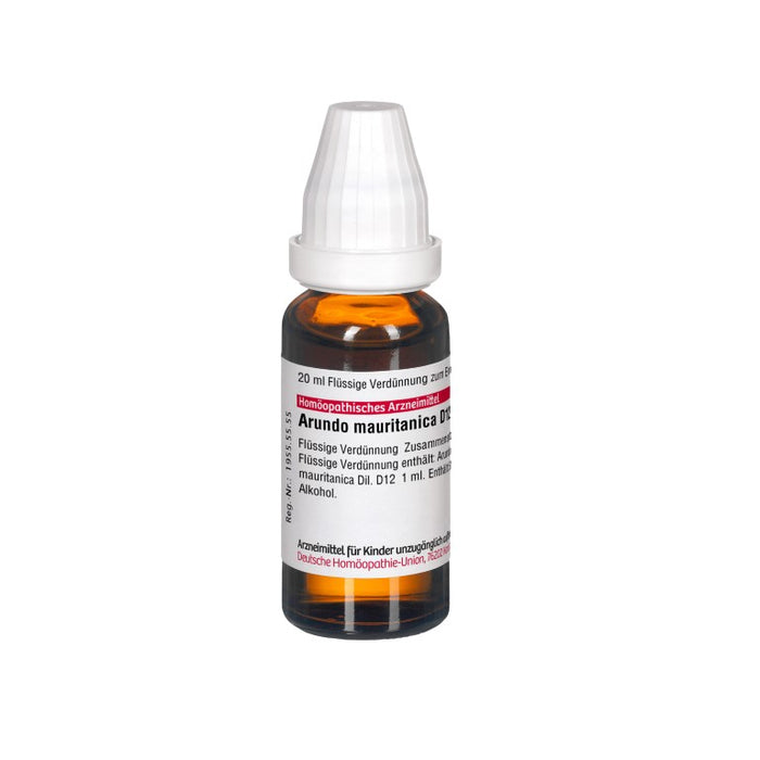 Arundo mauritanica D12 DHU Dilution, 20 ml Solution