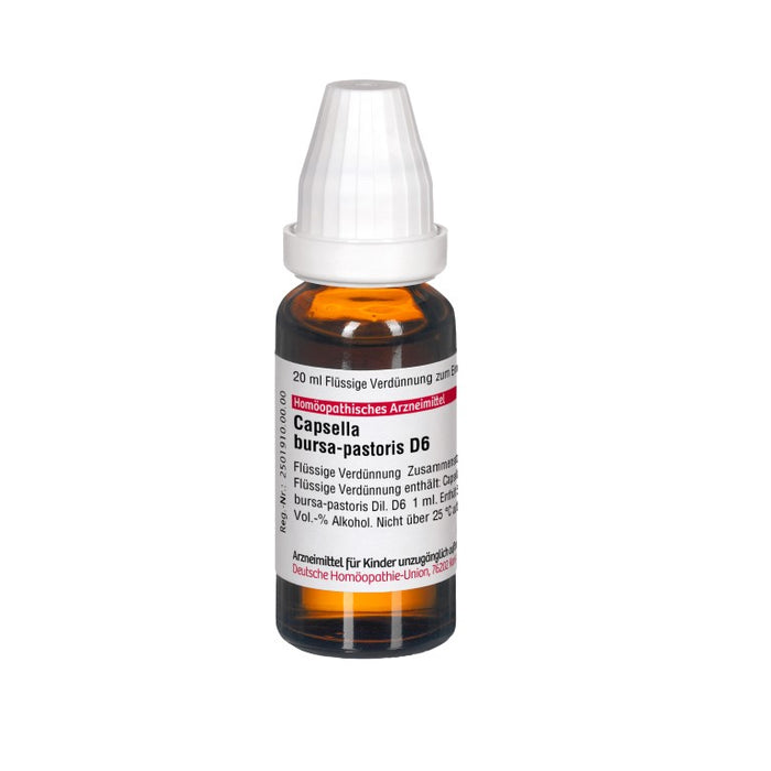 Capsella bursa-pastoris D6 DHU Dilution, 20 ml Solution
