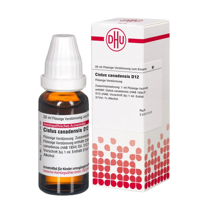 DHU Cistus canadensis D12 Dilution, 20 ml Solution