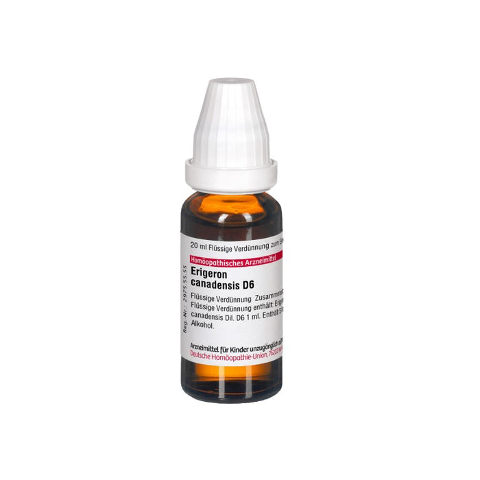 Erigeron canadensis D6 DHU Dilution, 20 ml Solution