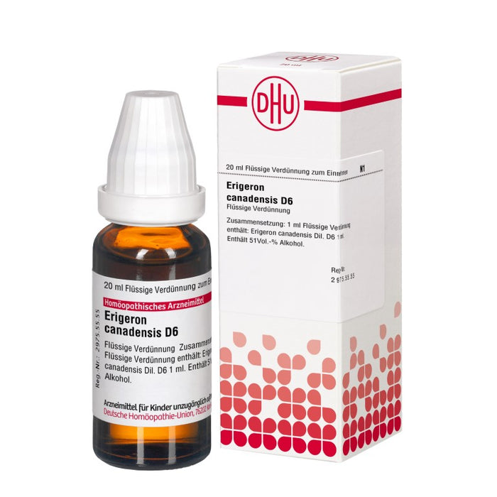 Erigeron canadensis D6 DHU Dilution, 20 ml Solution