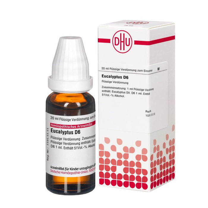 Eucalyptus D6 DHU Dilution, 20 ml Solution