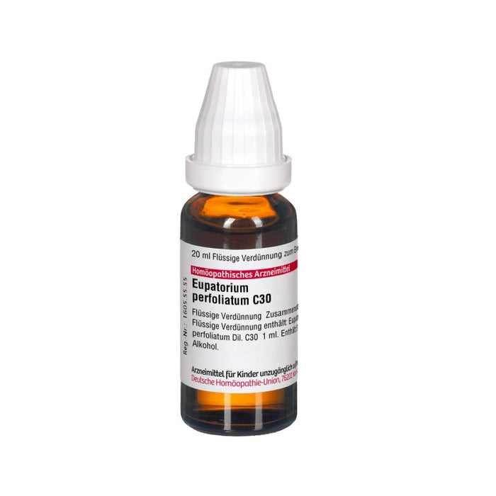 Eupatorium perfoliatum C30 DHU Dilution, 20 ml Solution