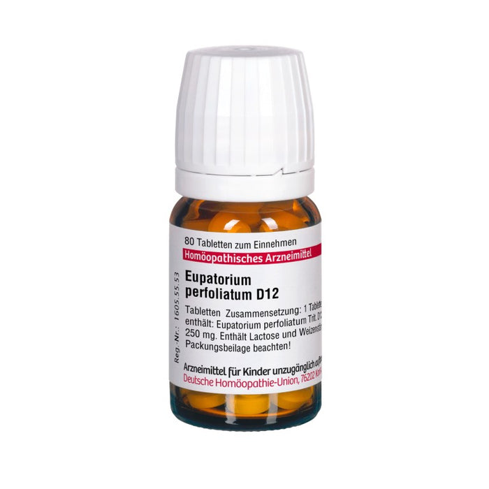 Eupatorium perfoliatum D12 DHU Tabletten, 80 pc Tablettes