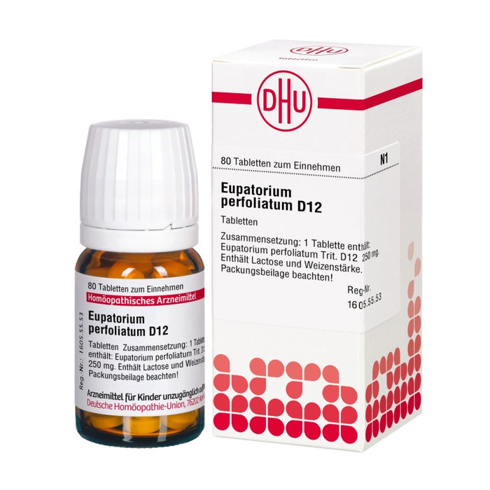Eupatorium perfoliatum D12 DHU Tabletten, 80 pc Tablettes
