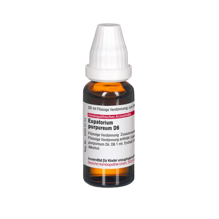 Eupatorium purpureum D6 DHU Dilution, 20 ml Solution