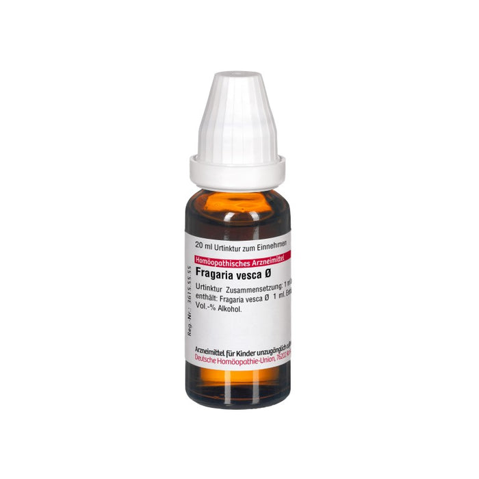 Fragaria vesca Urtinktur DHU, 20 ml Solution