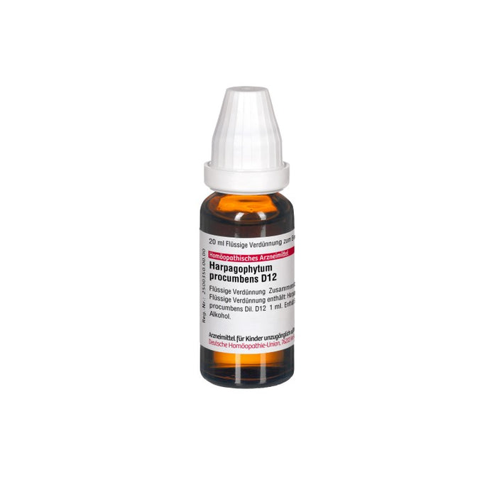 Harpagophytum procumbens D12 DHU Dilution, 20 ml Solution