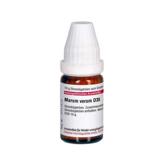 Marum verum D30 DHU Globuli, 10 g Globules