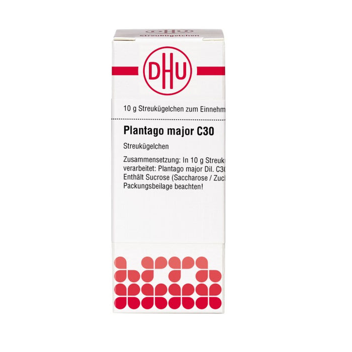 Plantago major C30 DHU Globuli, 10 g Globuli