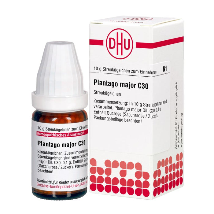 Plantago major C30 DHU Globuli, 10 g Globules
