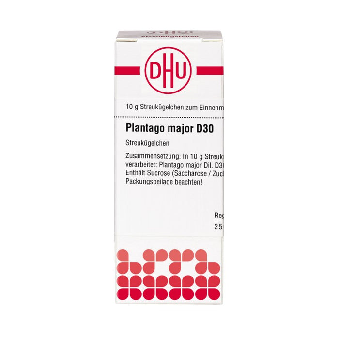 Plantago major D30 DHU Globuli, 10 g Globuli