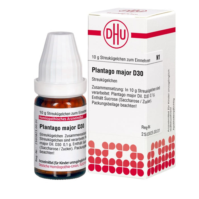 Plantago major D30 DHU Globuli, 10 g Globuli