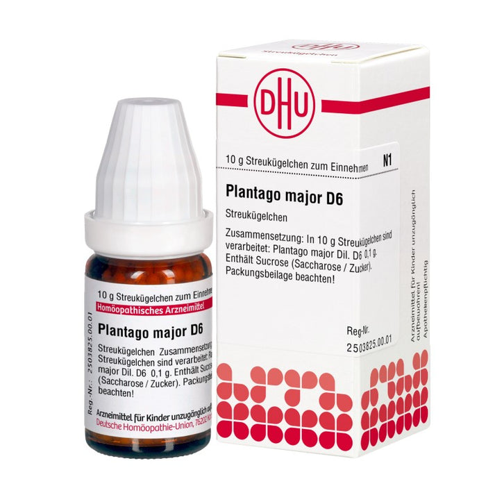 Plantago major D6 DHU Globuli, 10 g Globules