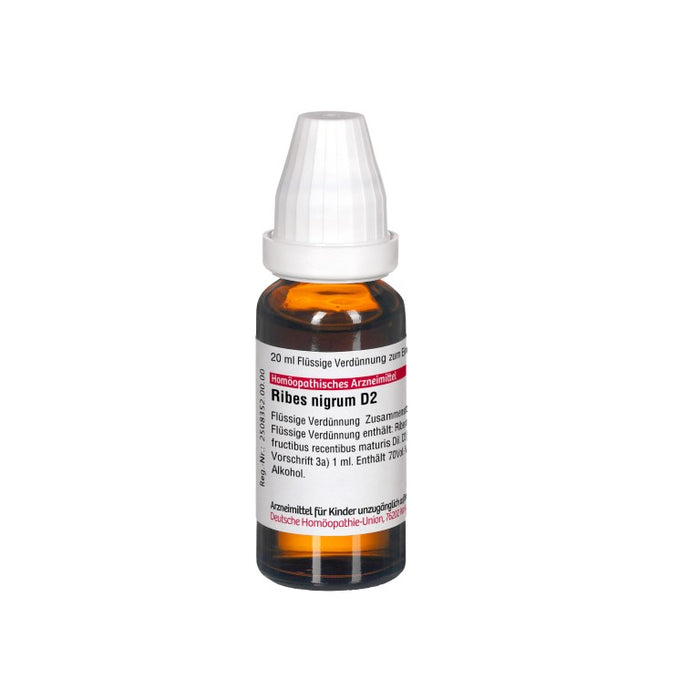 DHU Ribes nigrum D2 Dilution, 20 ml Solution