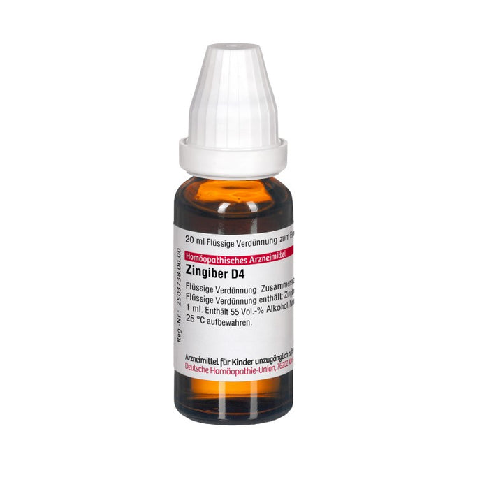 DHU Zingiber D4 Dilution, 20 ml Solution