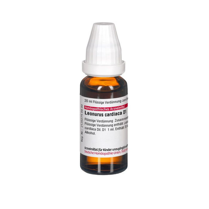 Leonurus cardiaca D1 DHU Dilution, 20 ml Solution
