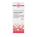 DHU Lespedeza capitata D4 Dilution, 50 ml Lösung