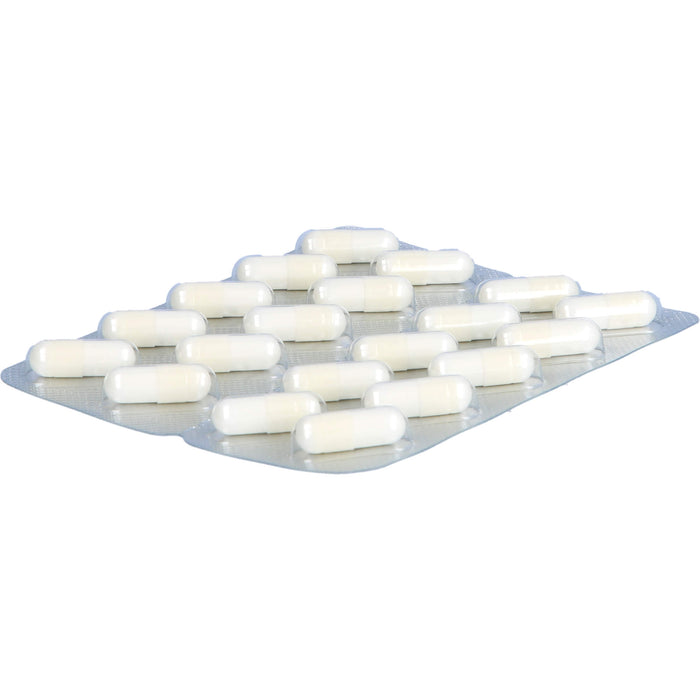 Magnesium-Optopan®, Hartkaps., 100 St KAP