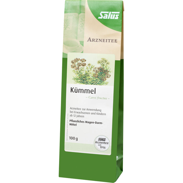 Kümmel Arzneitee Carvi fructus bio Salus, 100 g TEE