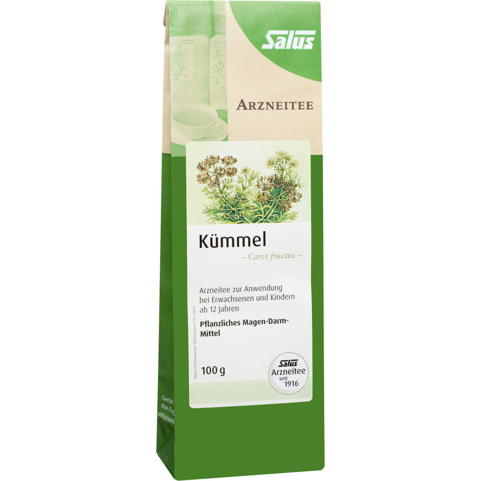 Kümmel Arzneitee Carvi fructus bio Salus, 100 g TEE