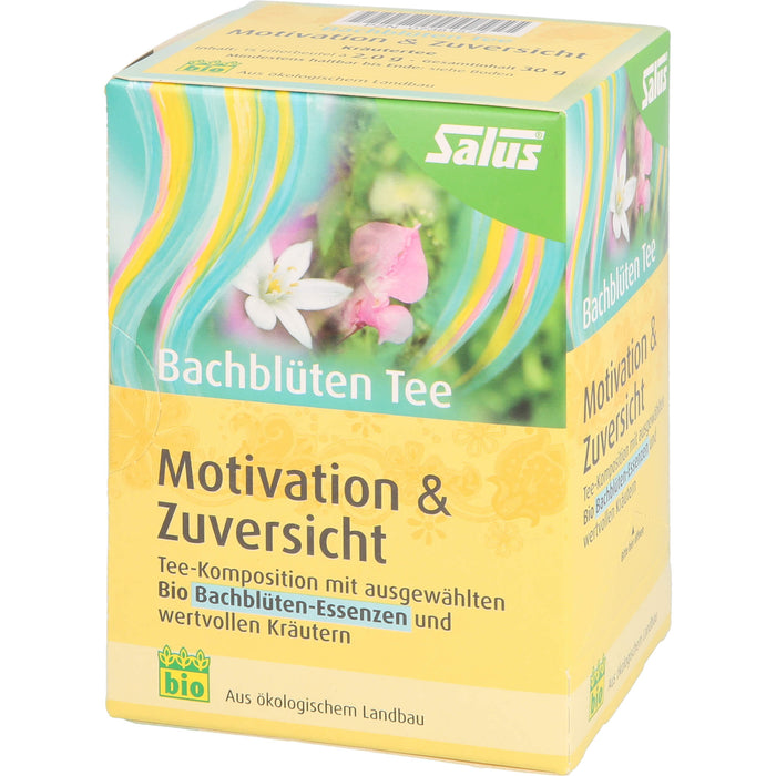 Salus Bachblüten Tee Motivation & Zuversicht bio, 15 St. Filterbeutel