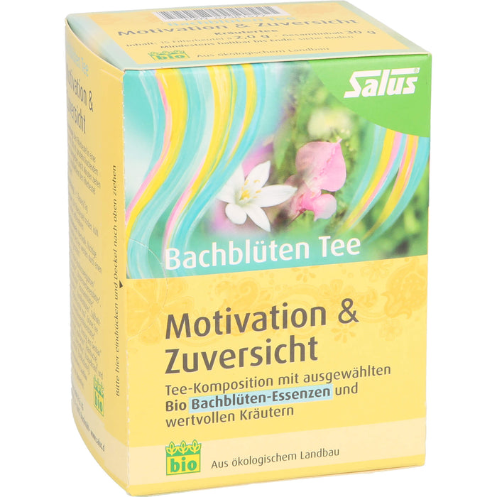 Salus Bachblüten Tee Motivation & Zuversicht bio, 15 pc Sac filtrant