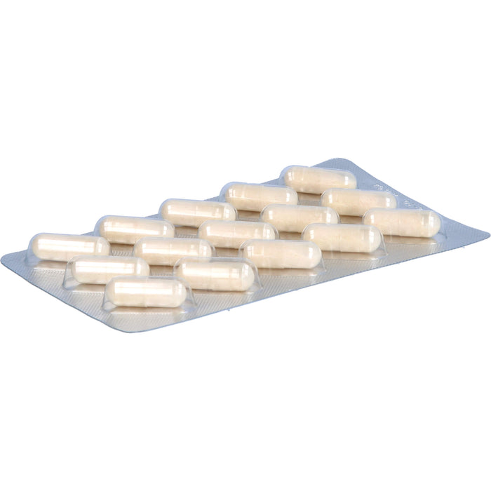 Sitobact Kapseln mit Milchsäurebakterien, 30 pc Capsules