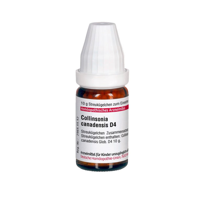 Collinsonia canadensis D4 DHU Globuli, 10 g Globules