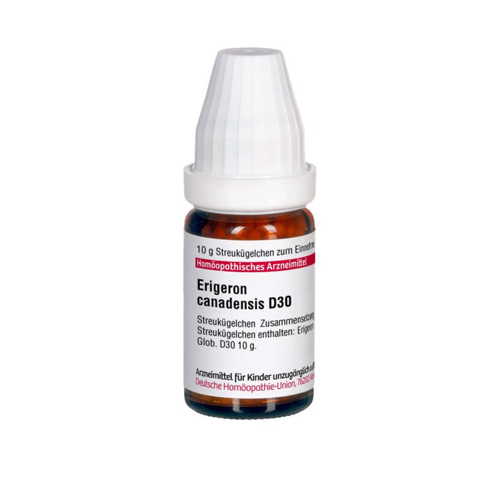 Erigeron canadensis D30 DHU Globuli, 10 g Globules
