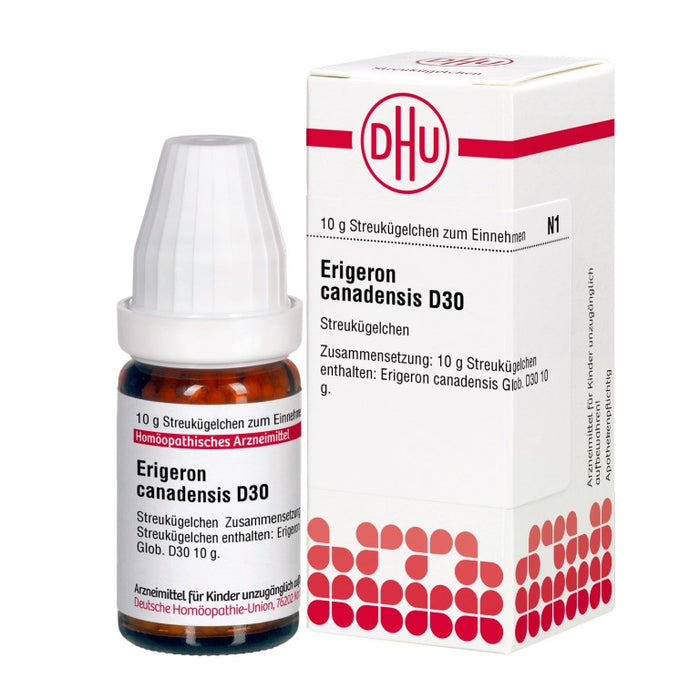 Erigeron canadensis D30 DHU Globuli, 10 g Globules