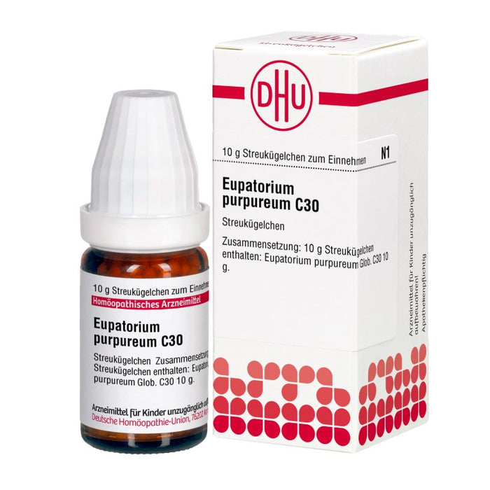 Eupatorium purpureum C30 DHU Globuli, 10 g Globules