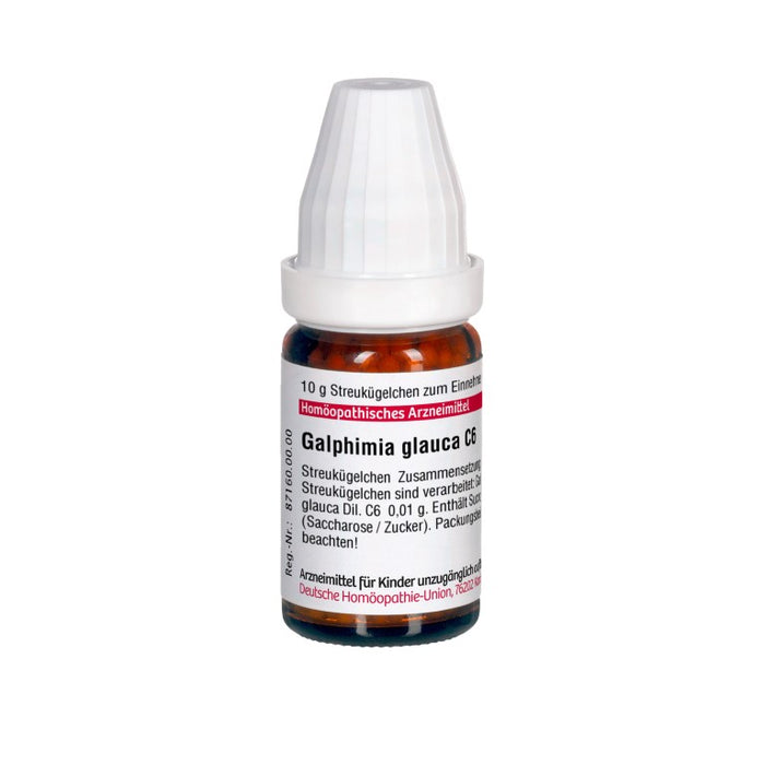 Galphimia glauca C6 DHU Globuli, 10 g Globules